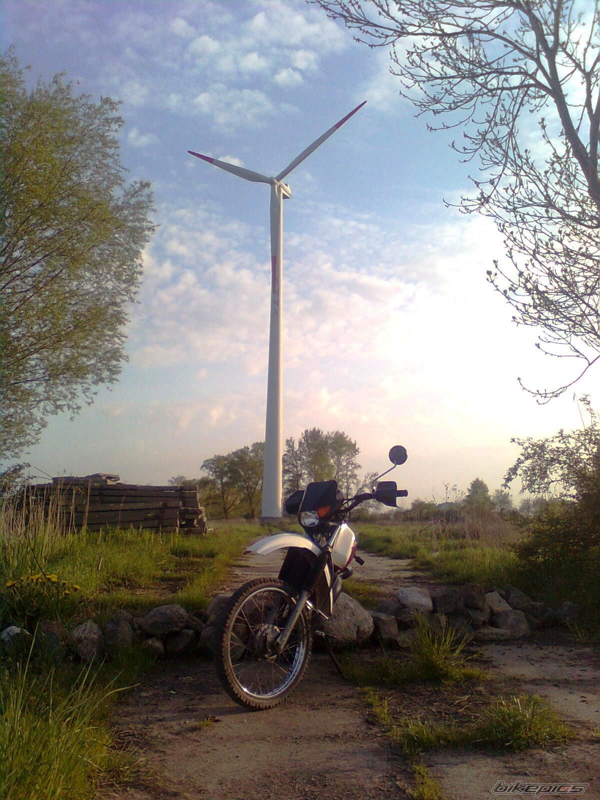 Photo 1979451