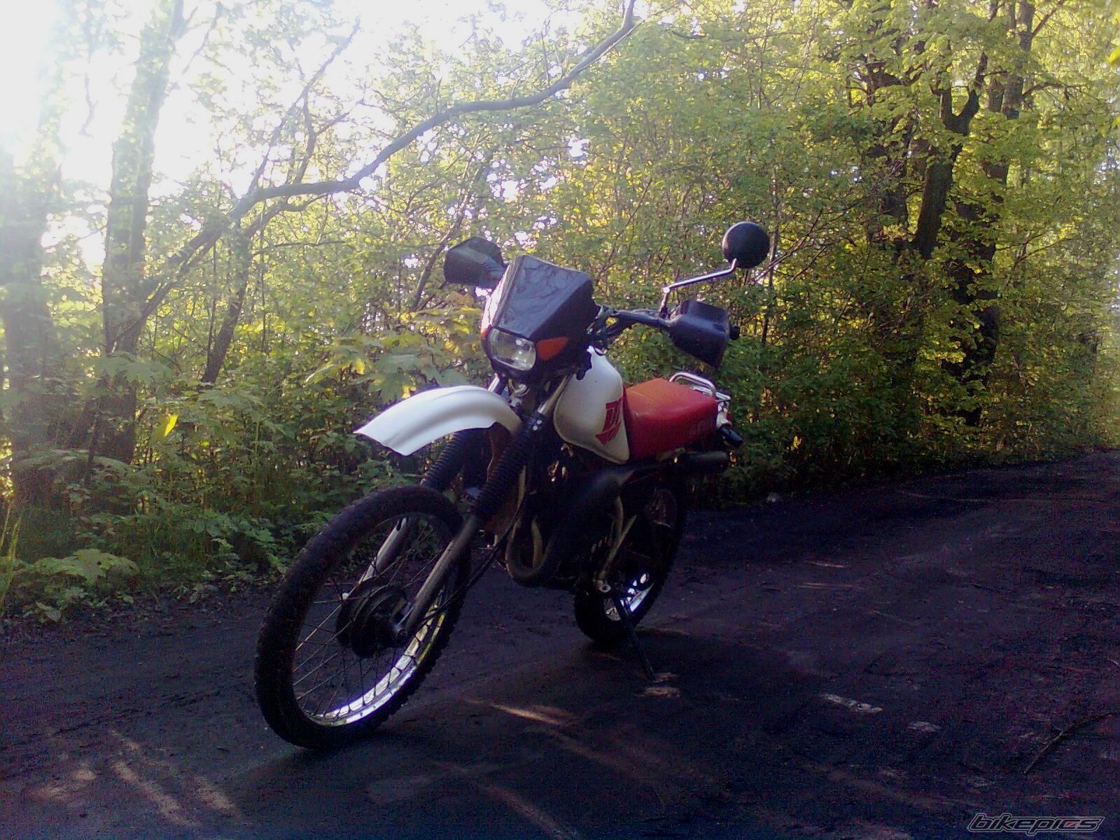 Photo 1979452