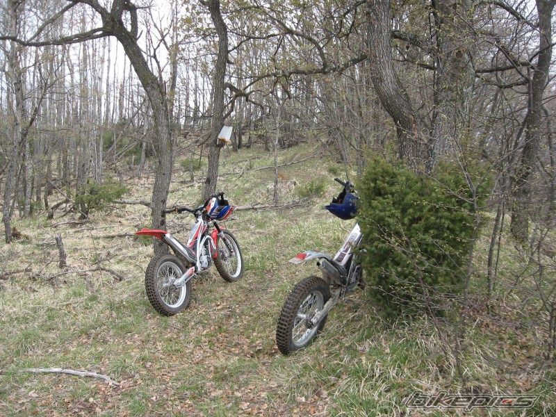 Bike Photo 1979464