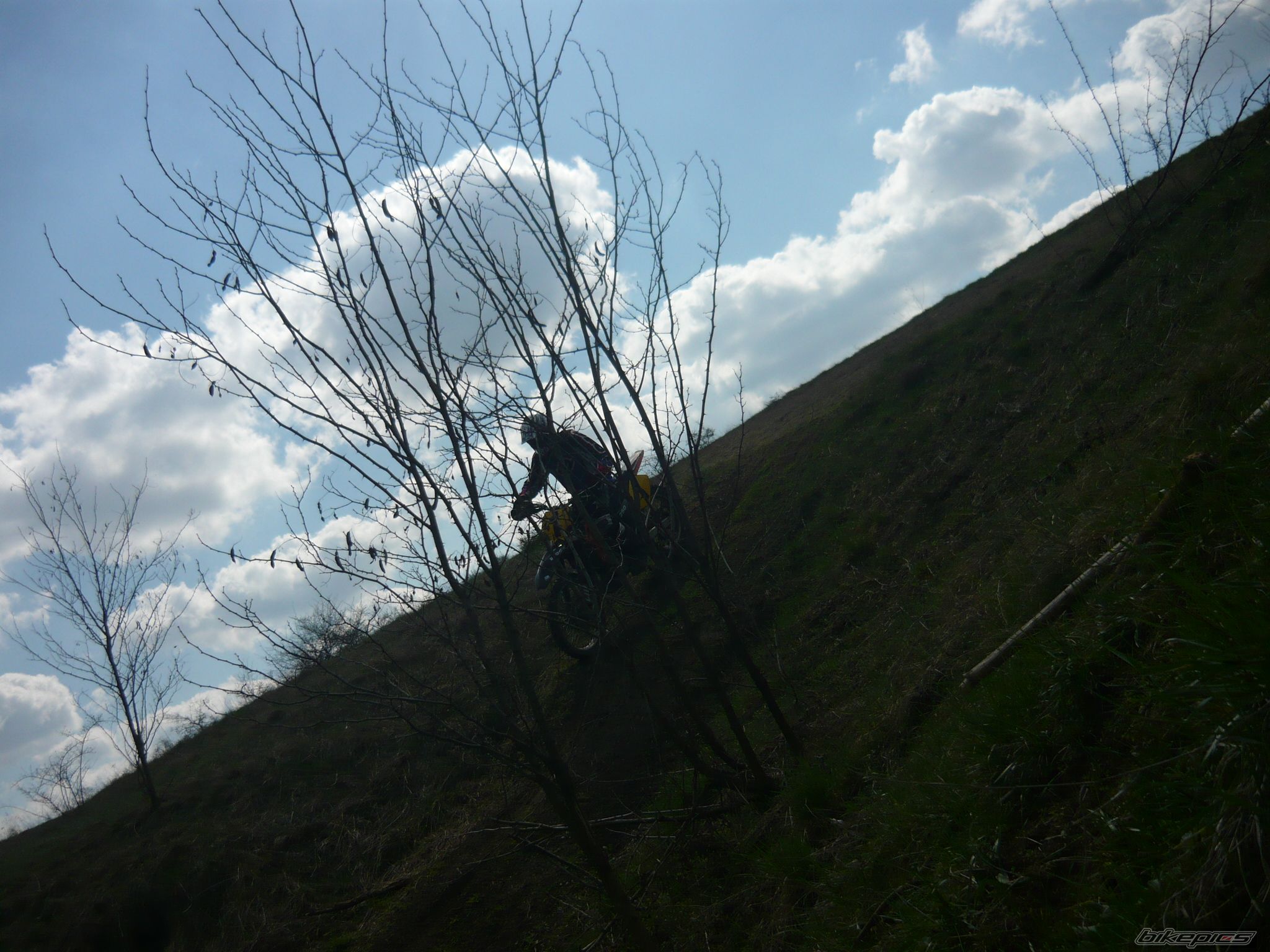 Bike Photo 1979491