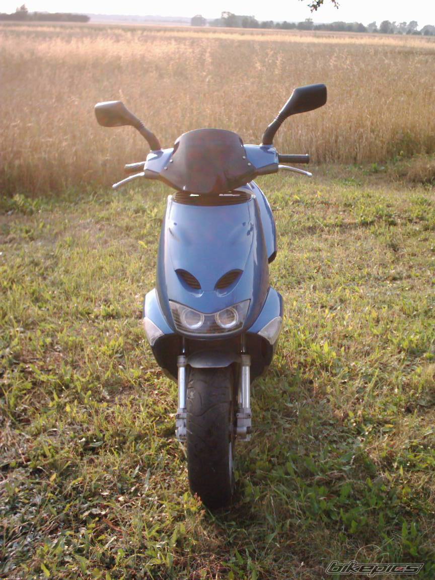 Photo 197951