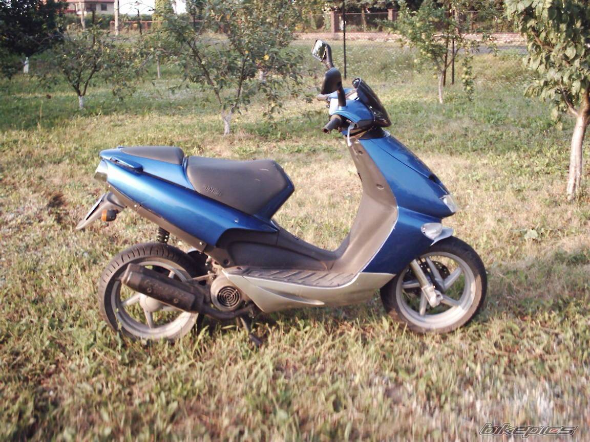 Photo 197955