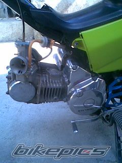 Bike Photo 1979632