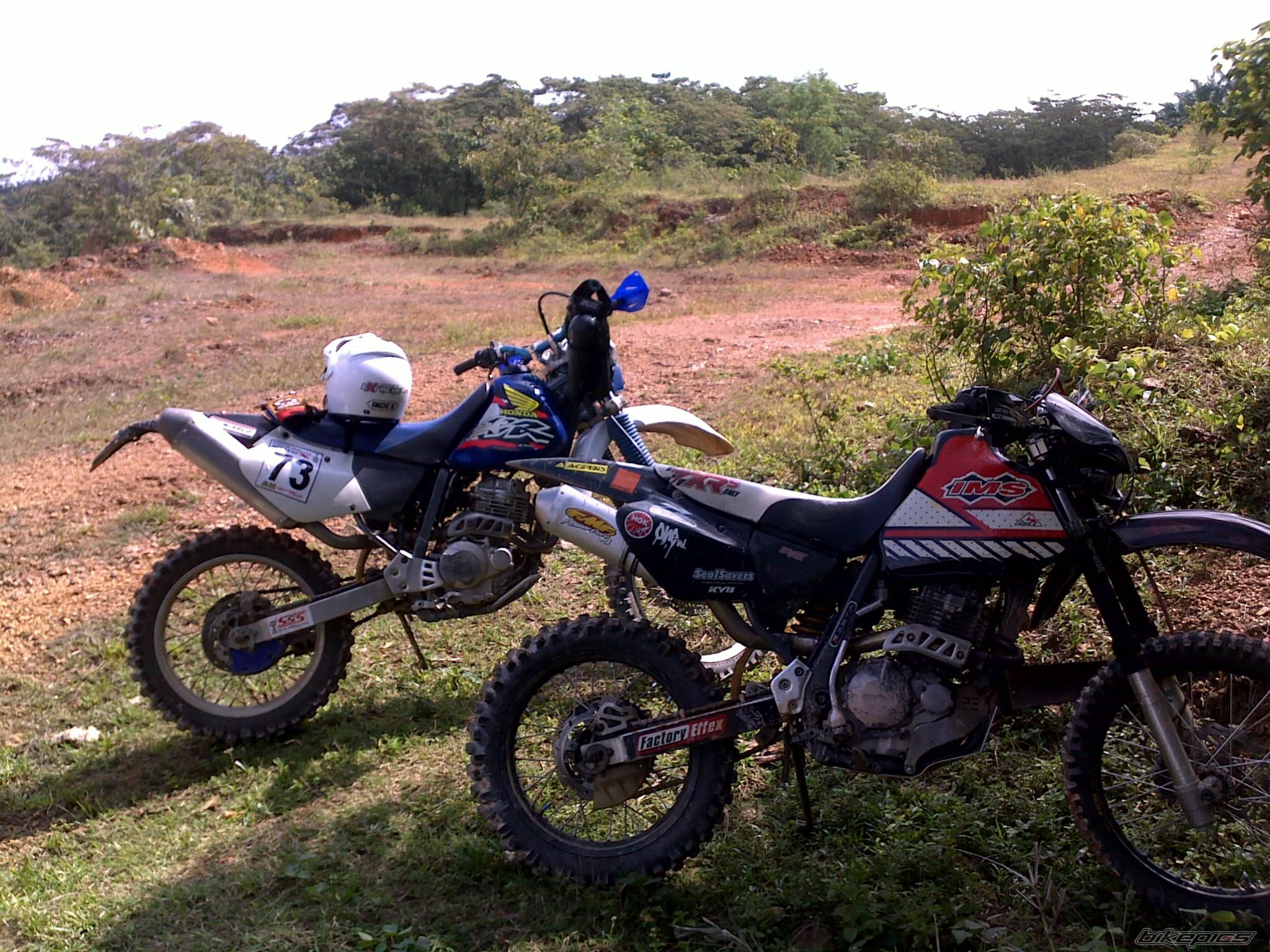 Photo 1979653