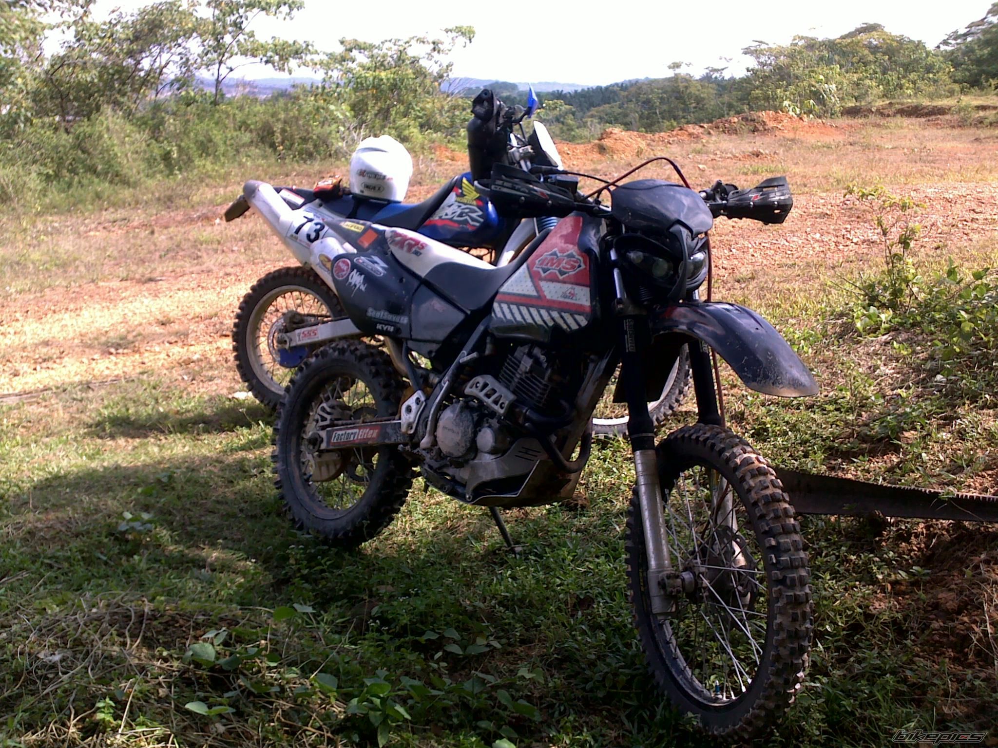 Photo 1979655