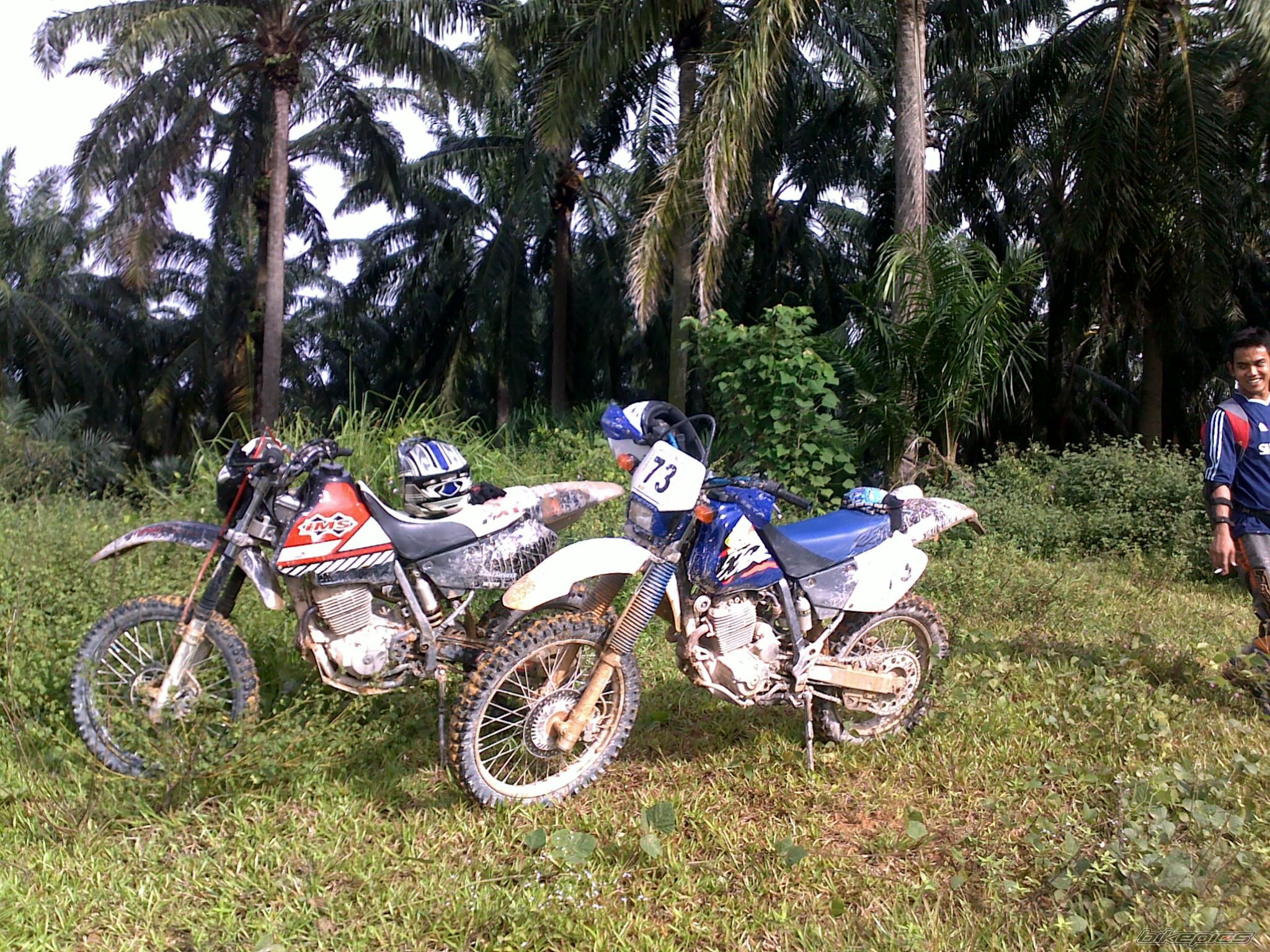 Photo 1979659