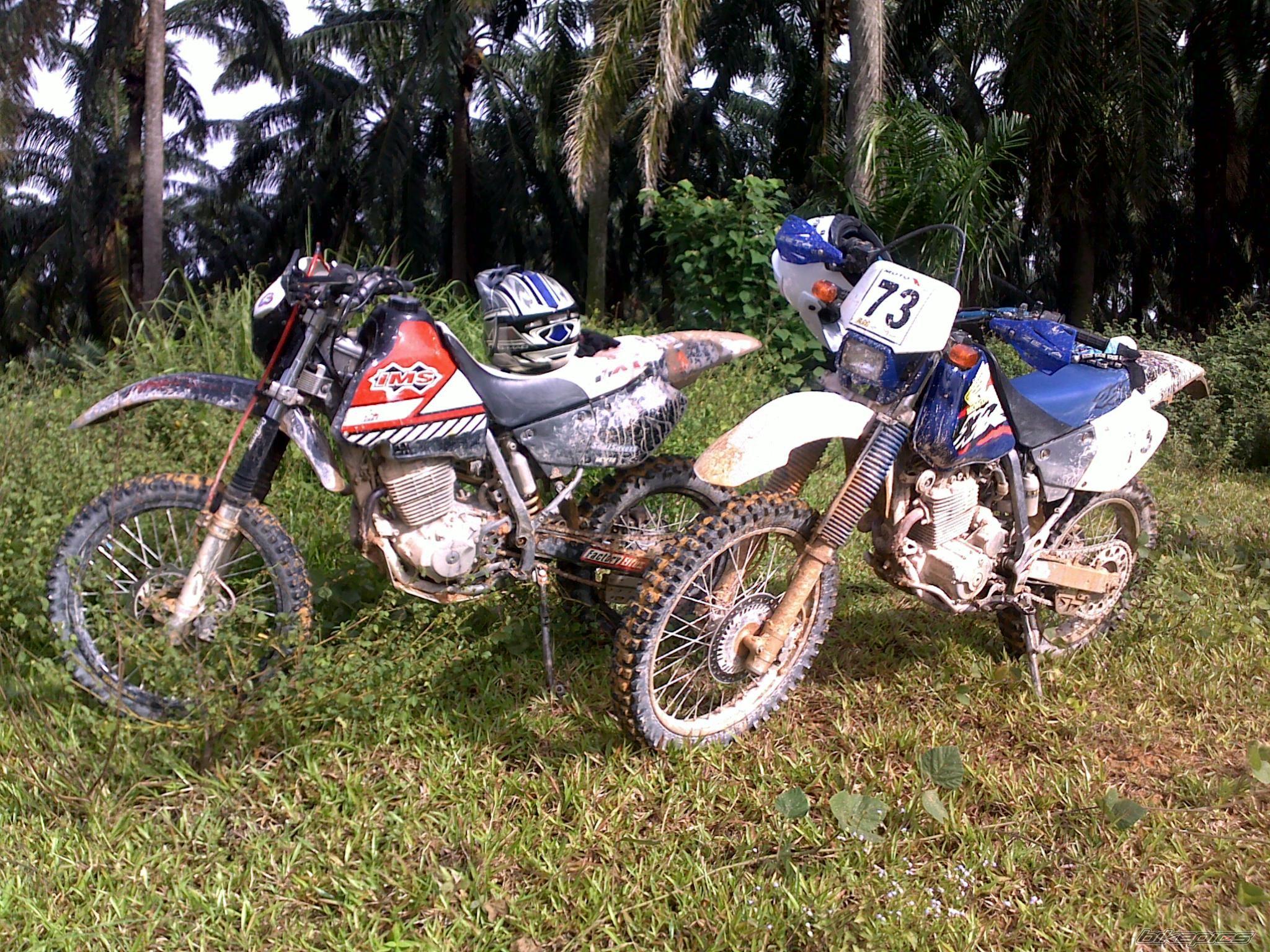 Bike Photo 1979660