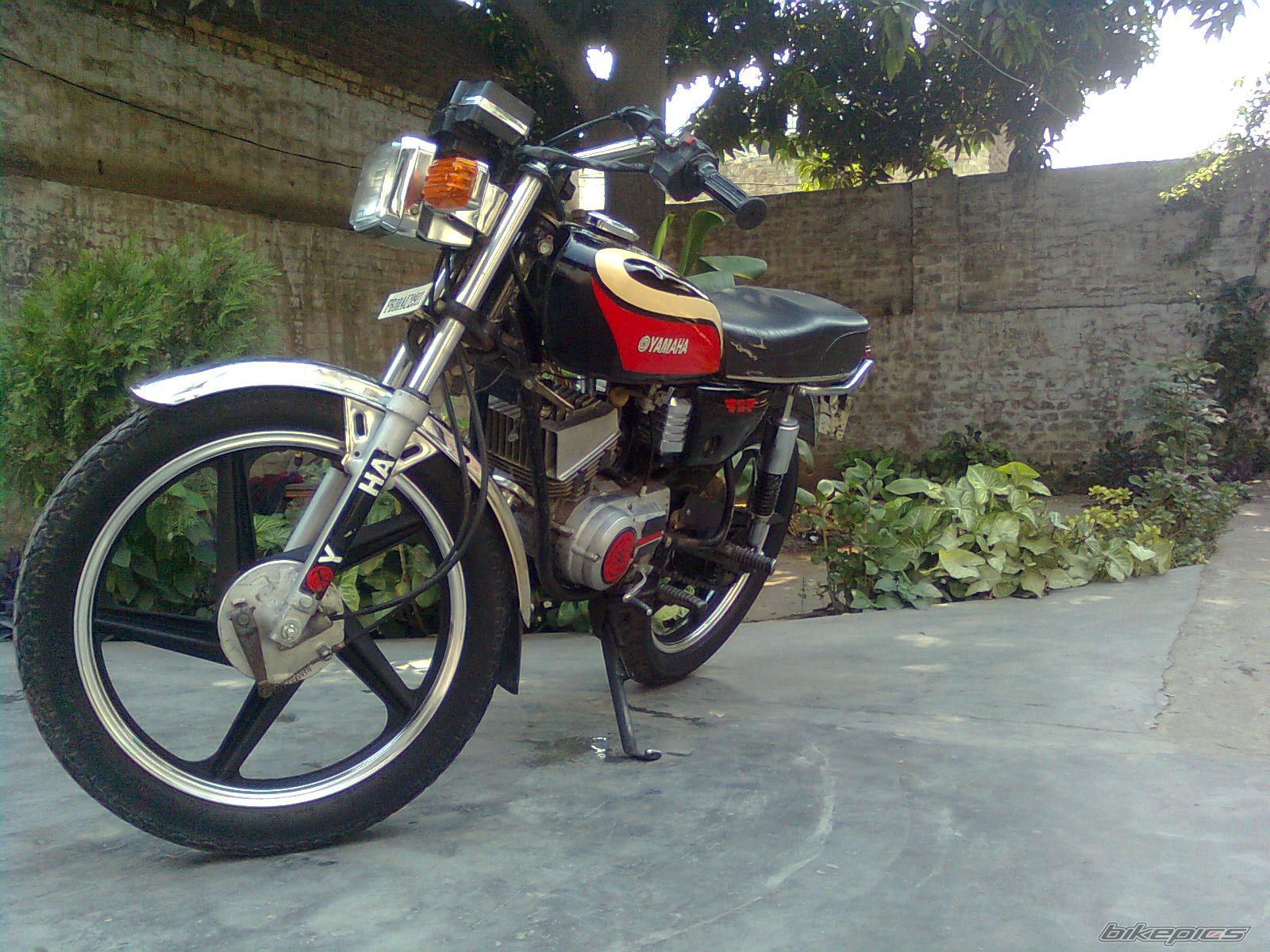 Photo 1979714