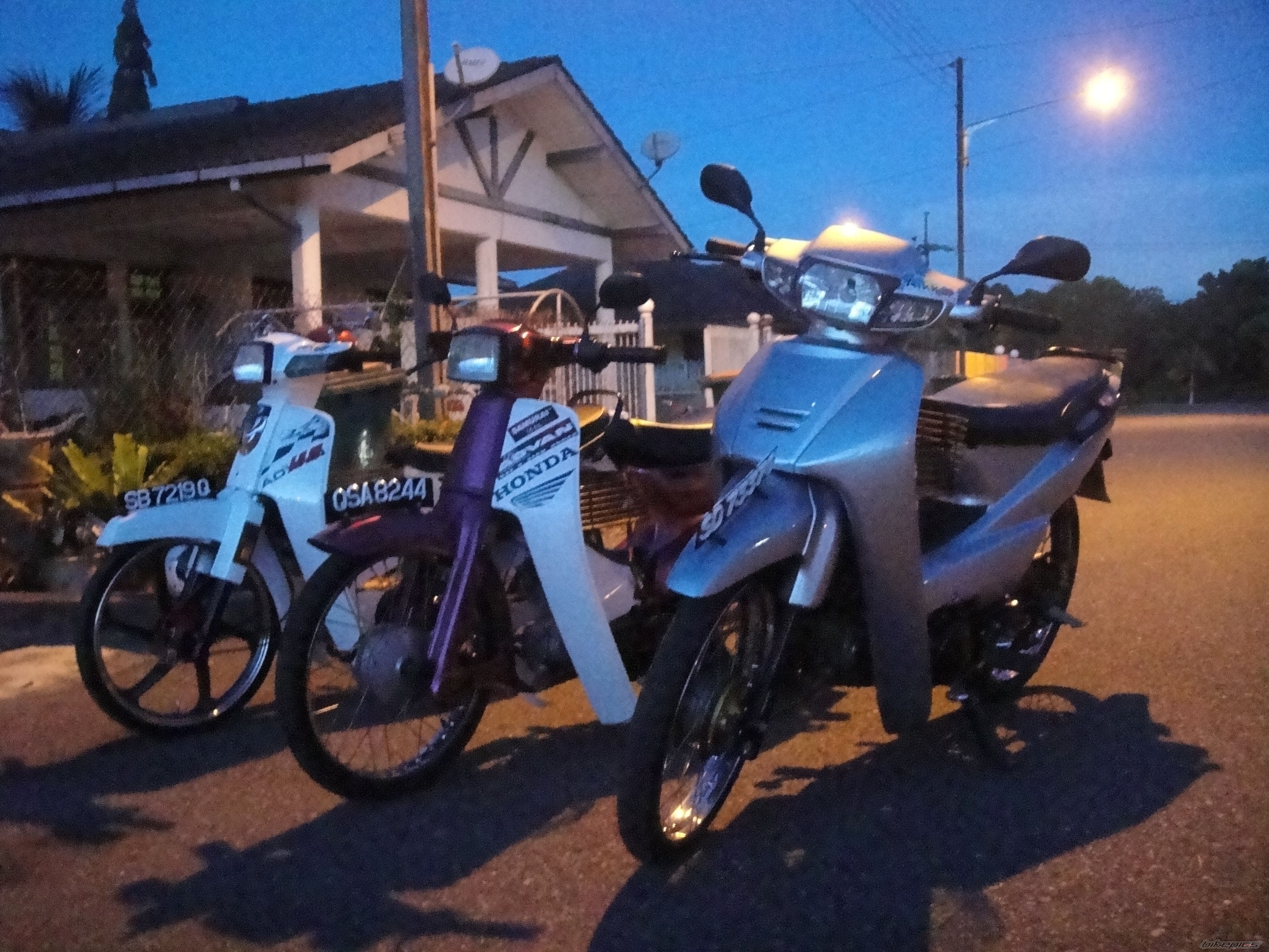 Photo 1979725