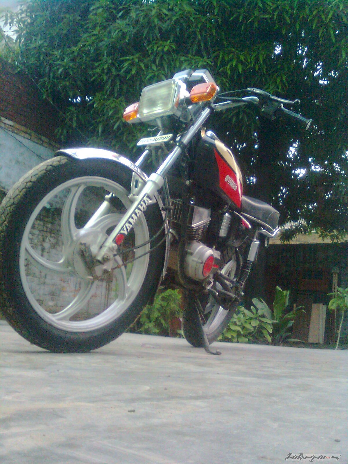 Photo 1979727