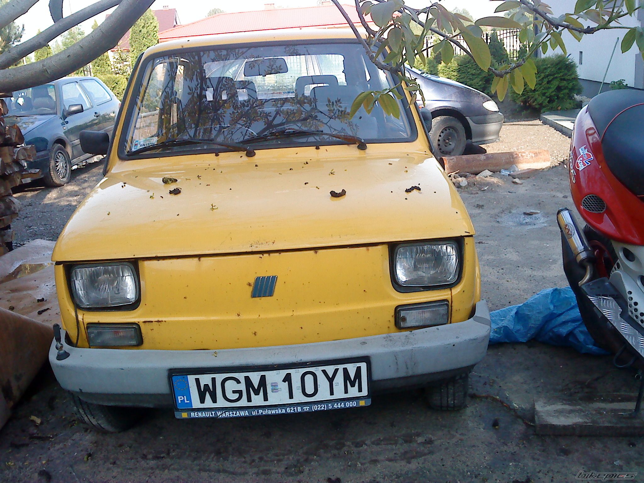 Photo 1979829