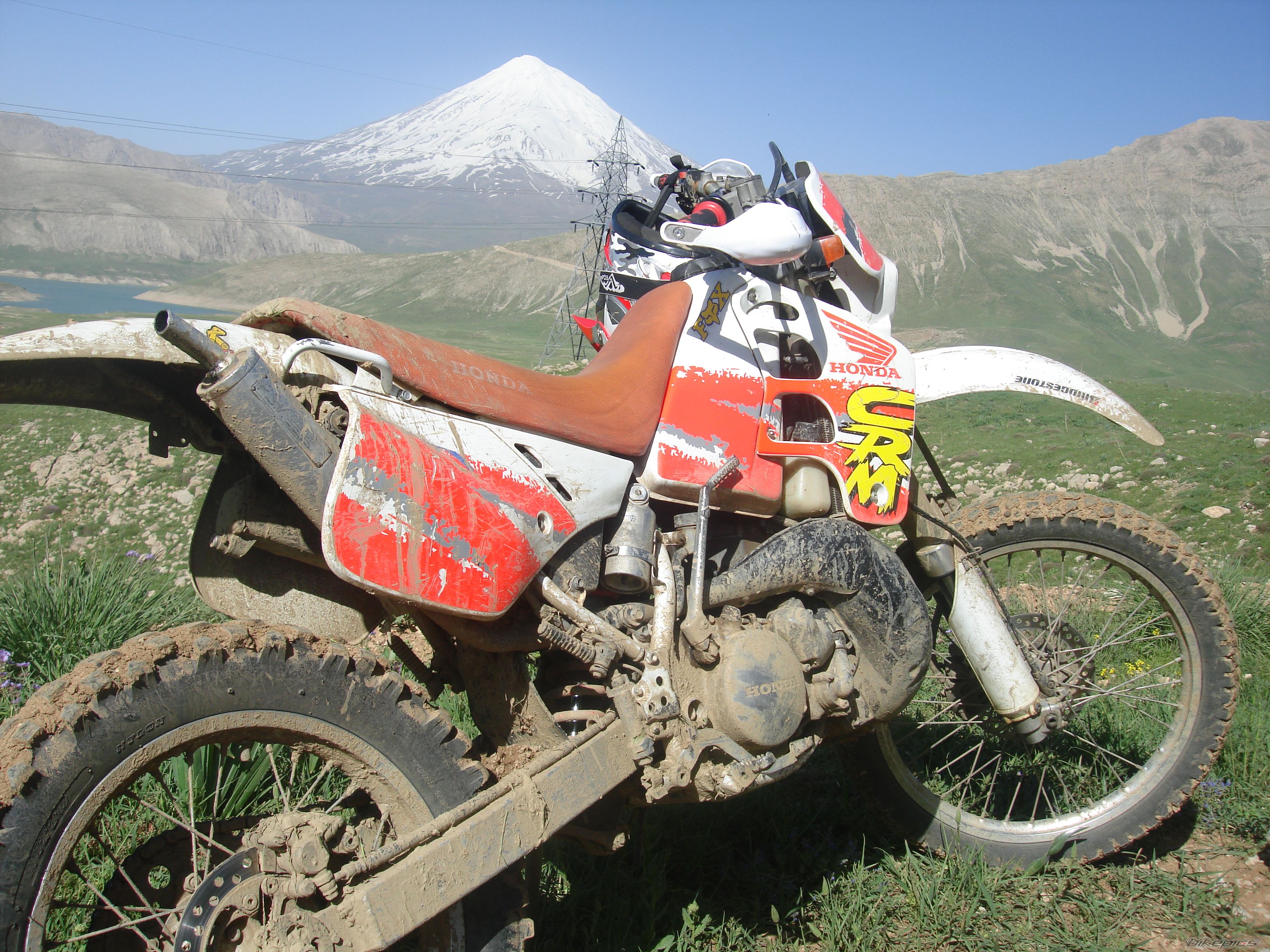Bike Photo 1979874