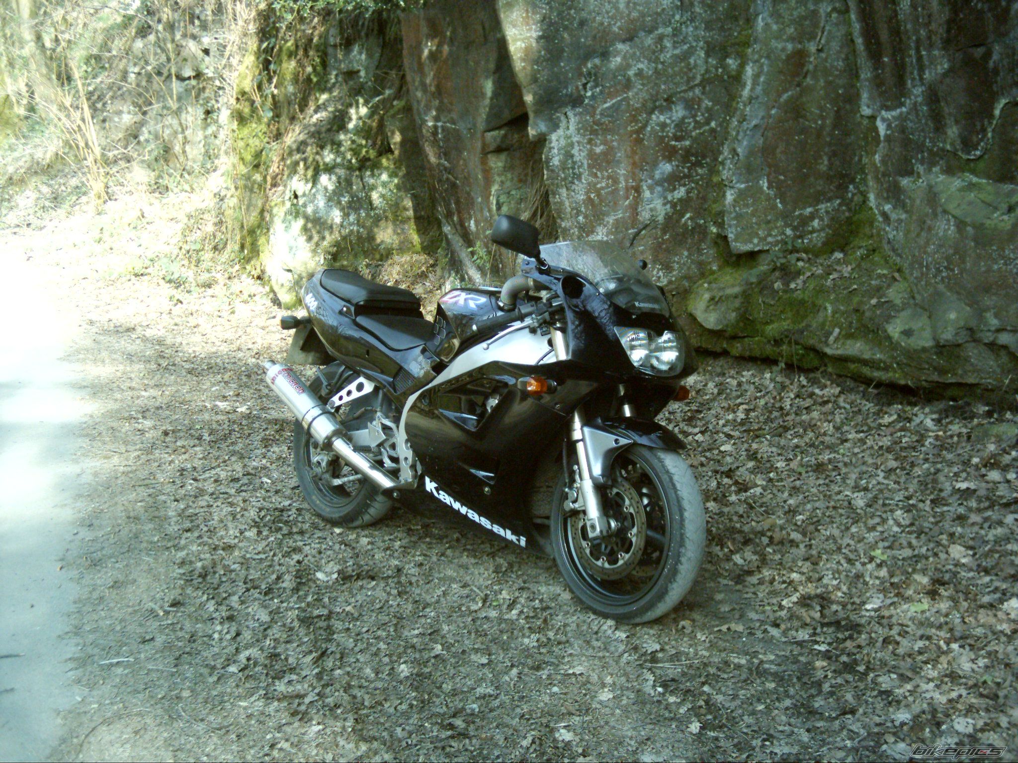 Photo 1979890
