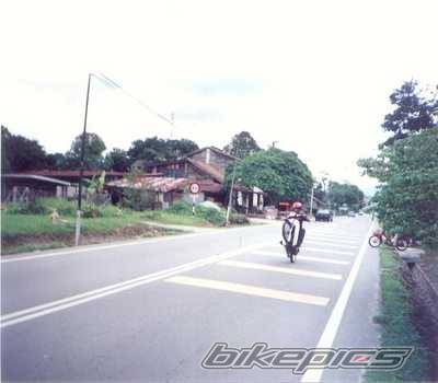 Photo 198005
