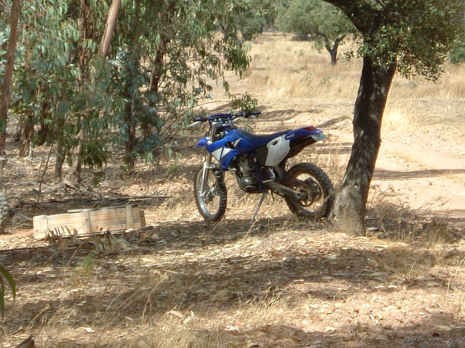 Bike Photo 198014