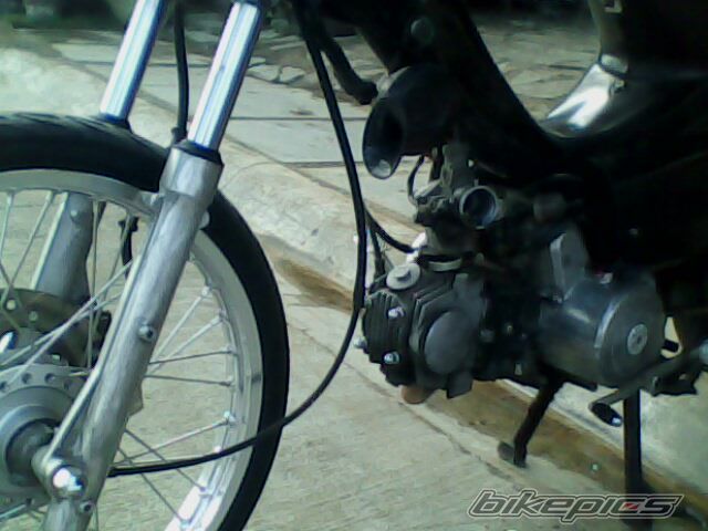 Photo 1980204
