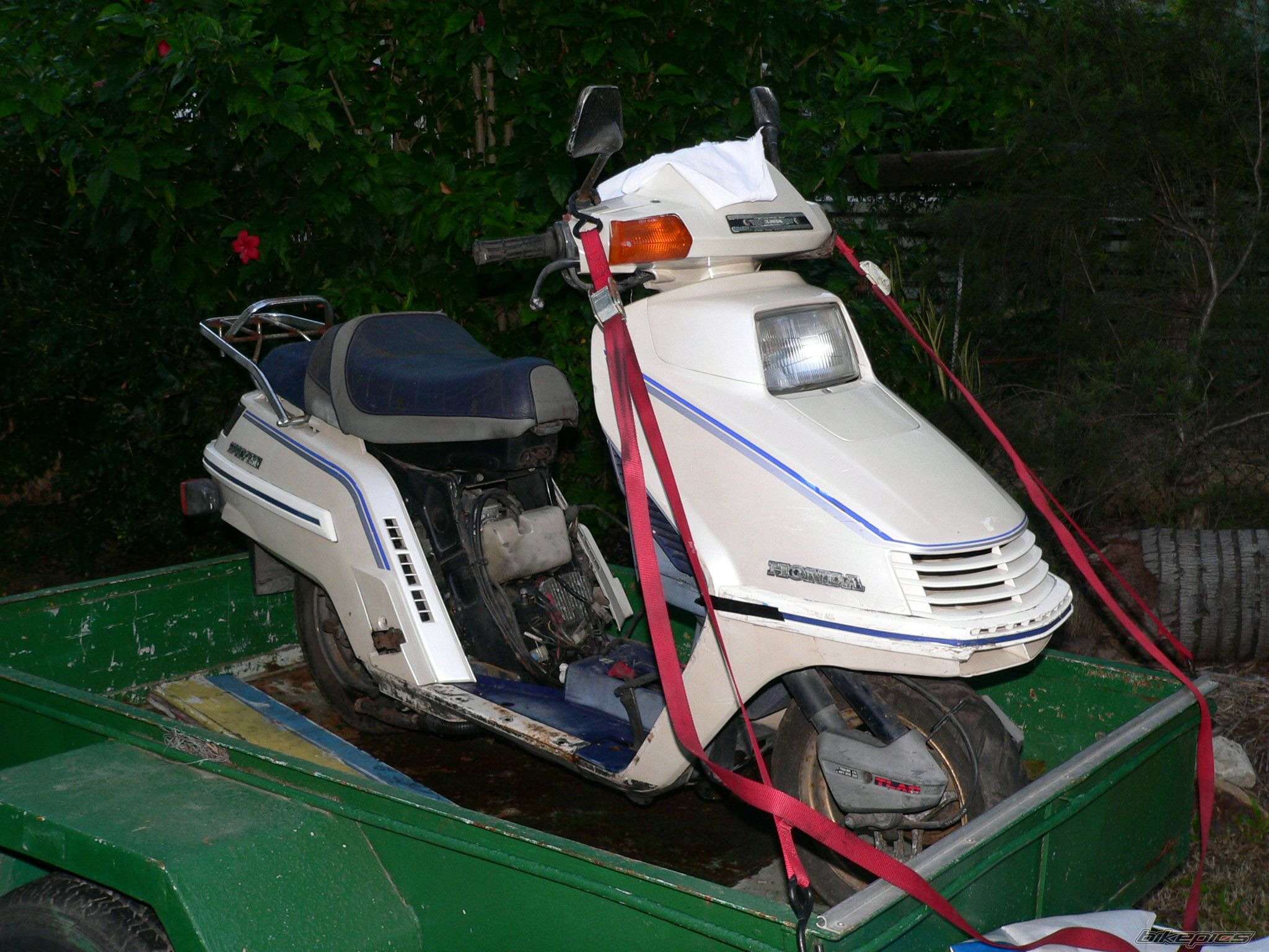 Bike Photo 1980231