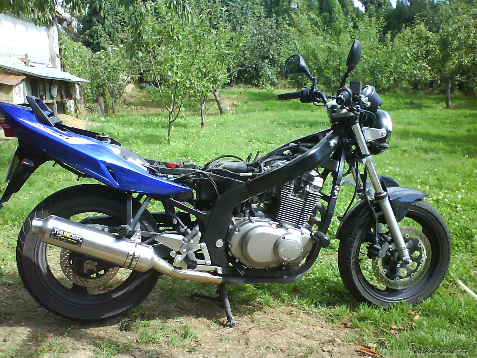 Photo 1980270
