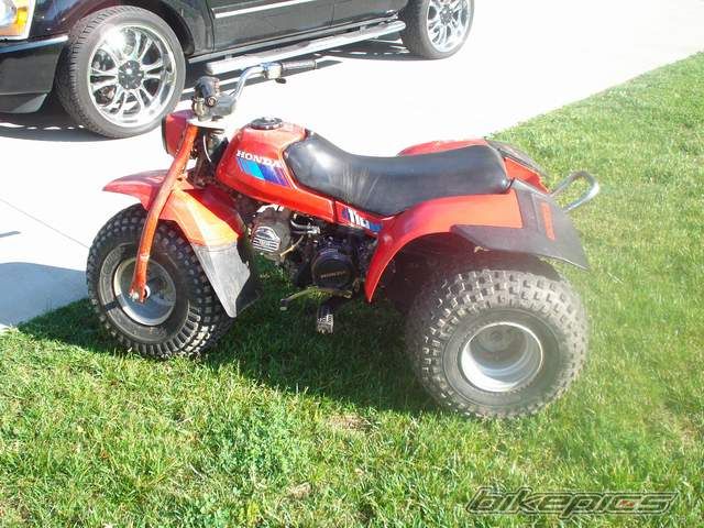 Bike Photo 1980448