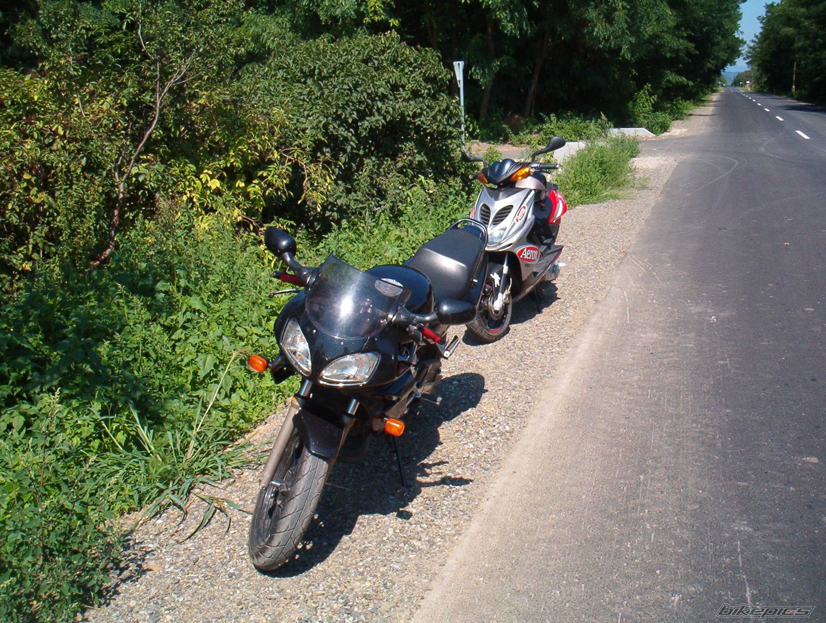 Photo 198069
