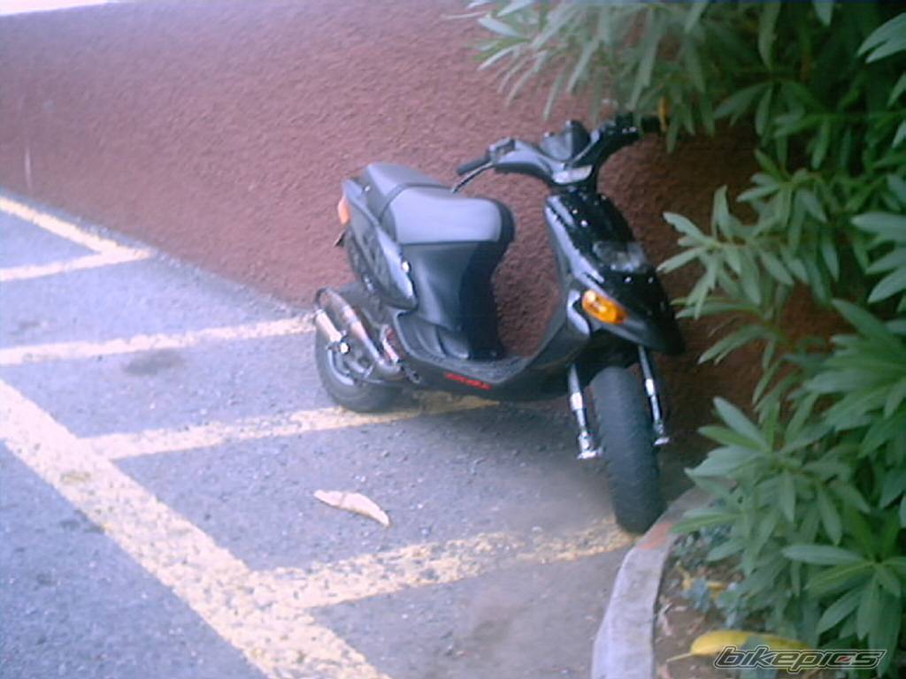 Photo 198076