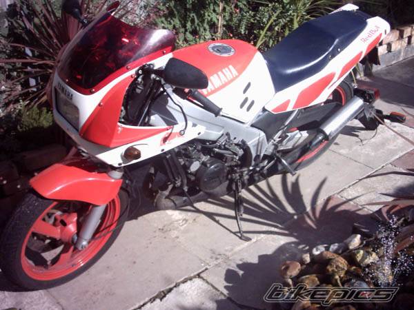 Photo 198077