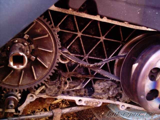 Photo 198085