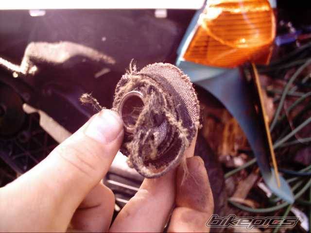Photo 198087