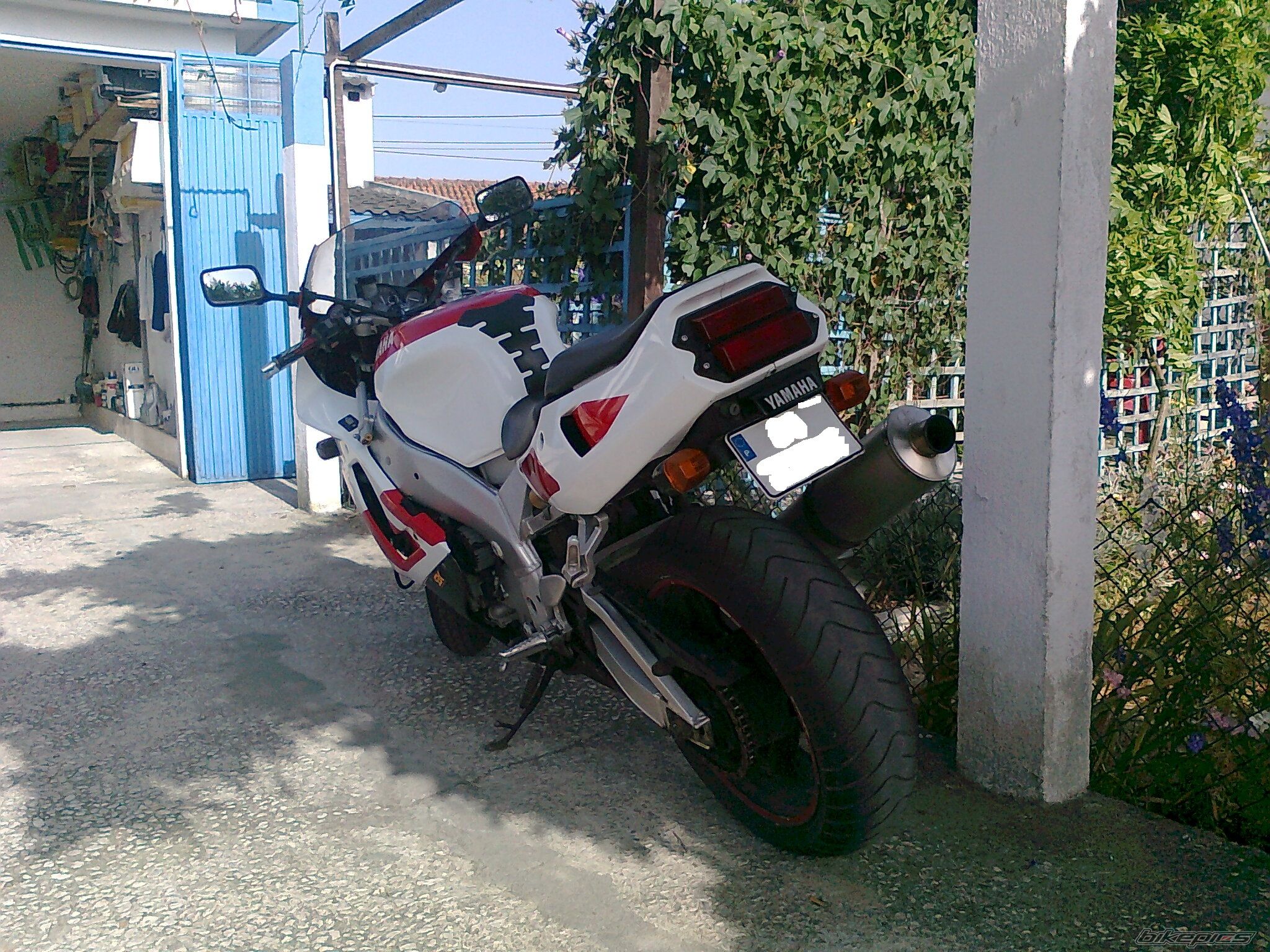 Photo 1981096