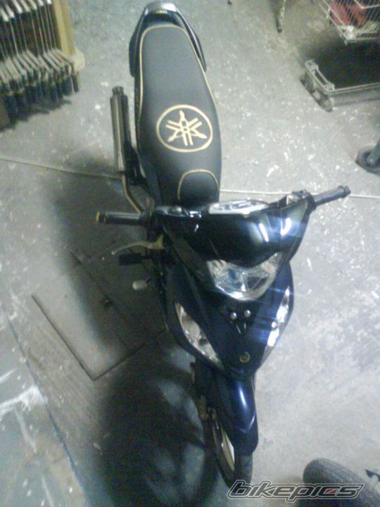 Bike Photo 1981107