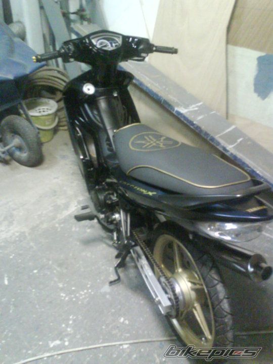 Bike Photo 1981110