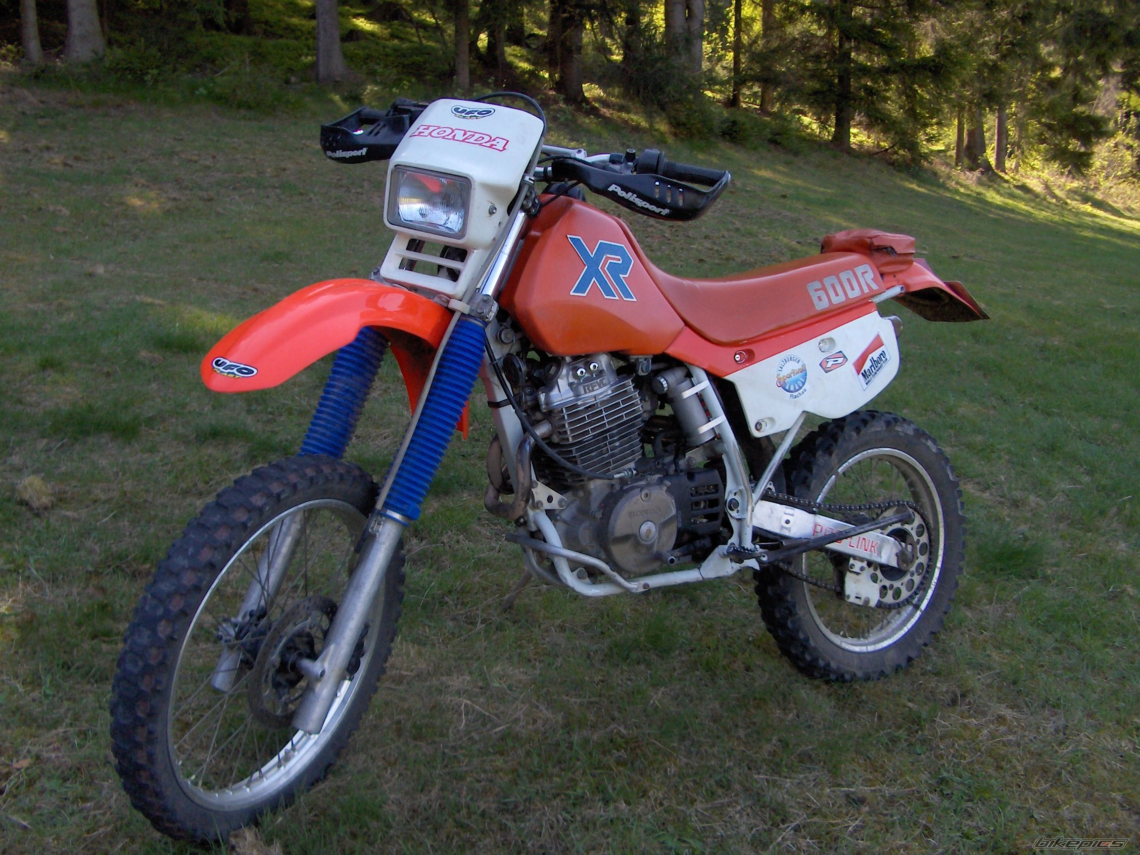 Photo 1981135