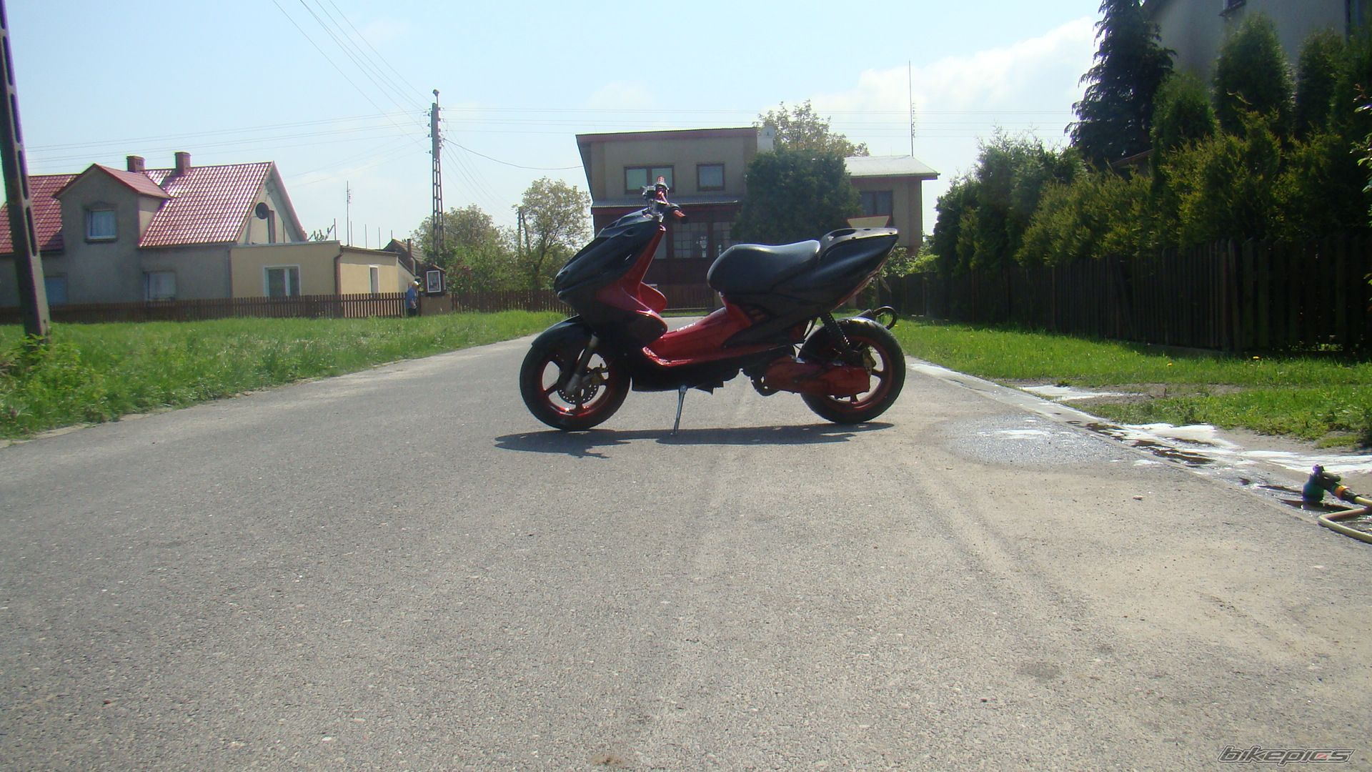 Photo 1981137