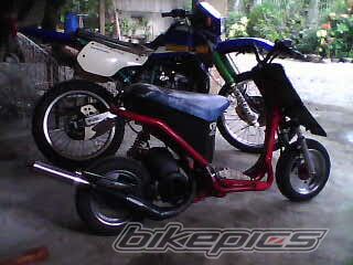 Photo 1981190