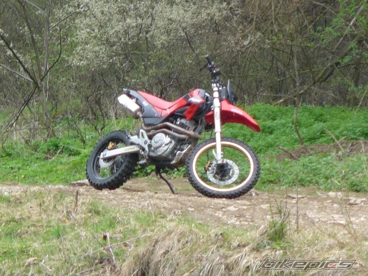 Photo 1981191