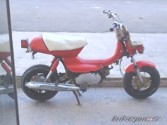 Photo 1981215