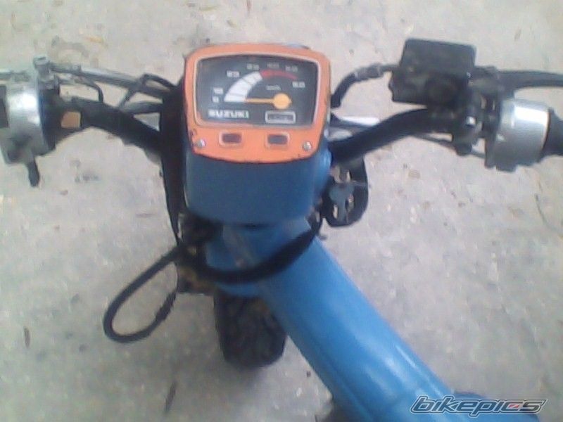 Photo 1981216