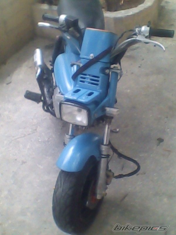 Photo 1981225