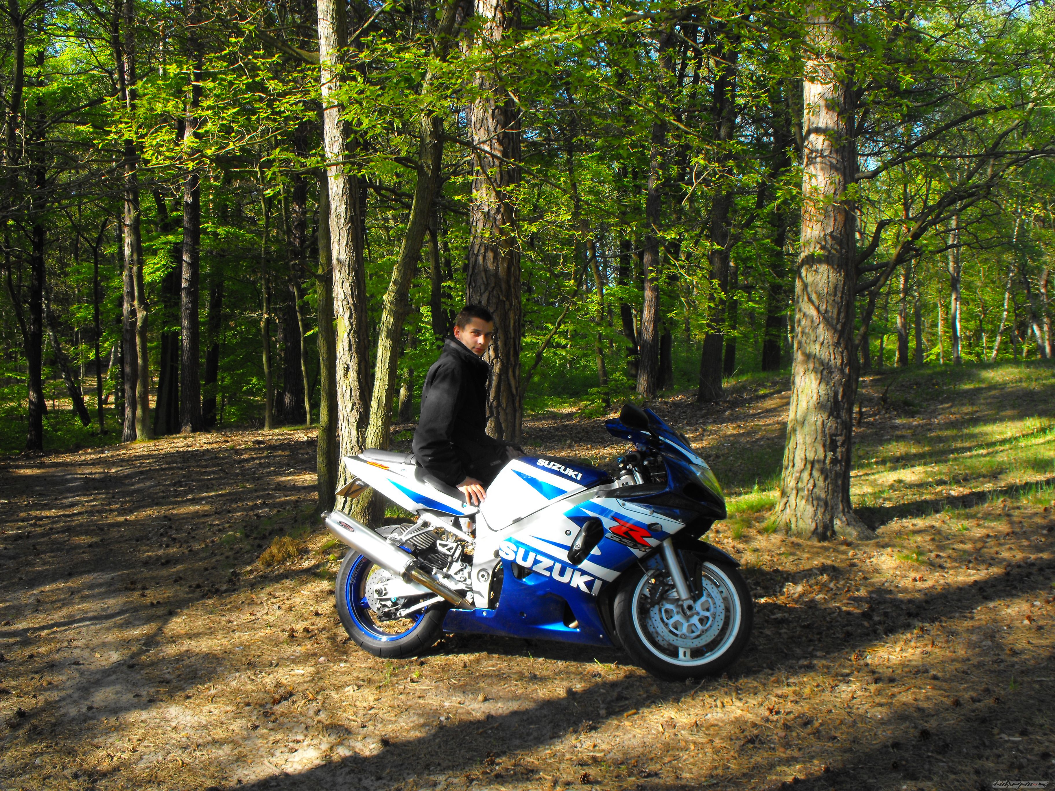 Bike Photo 1981231