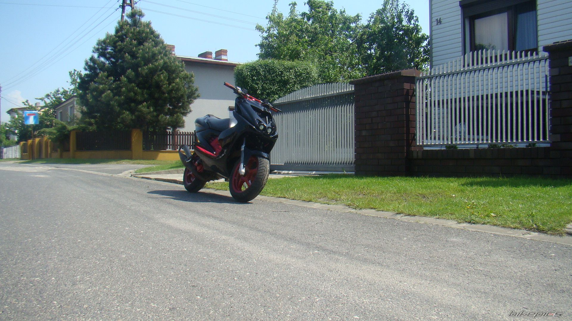 Photo 1981253