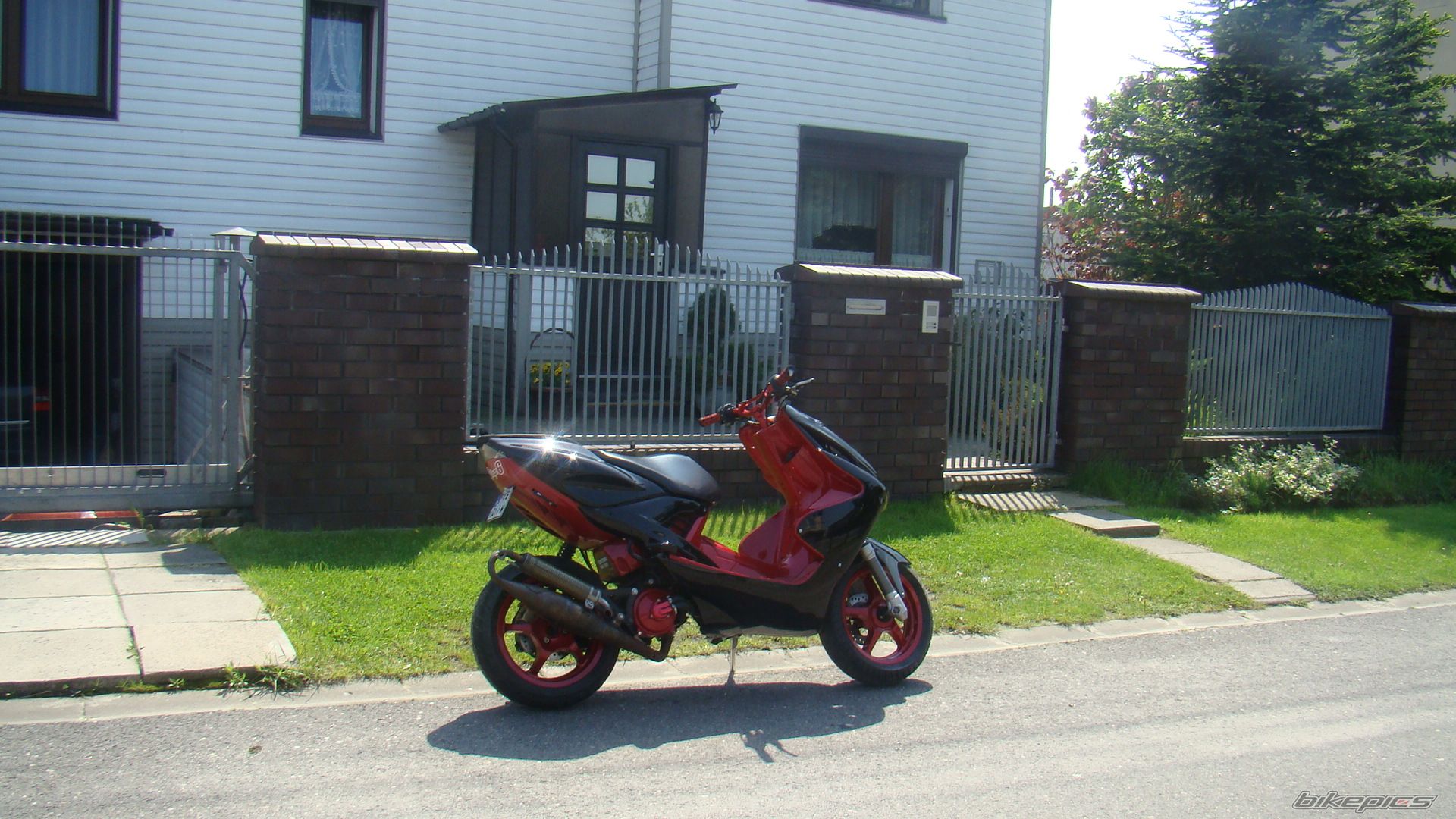 Photo 1981270