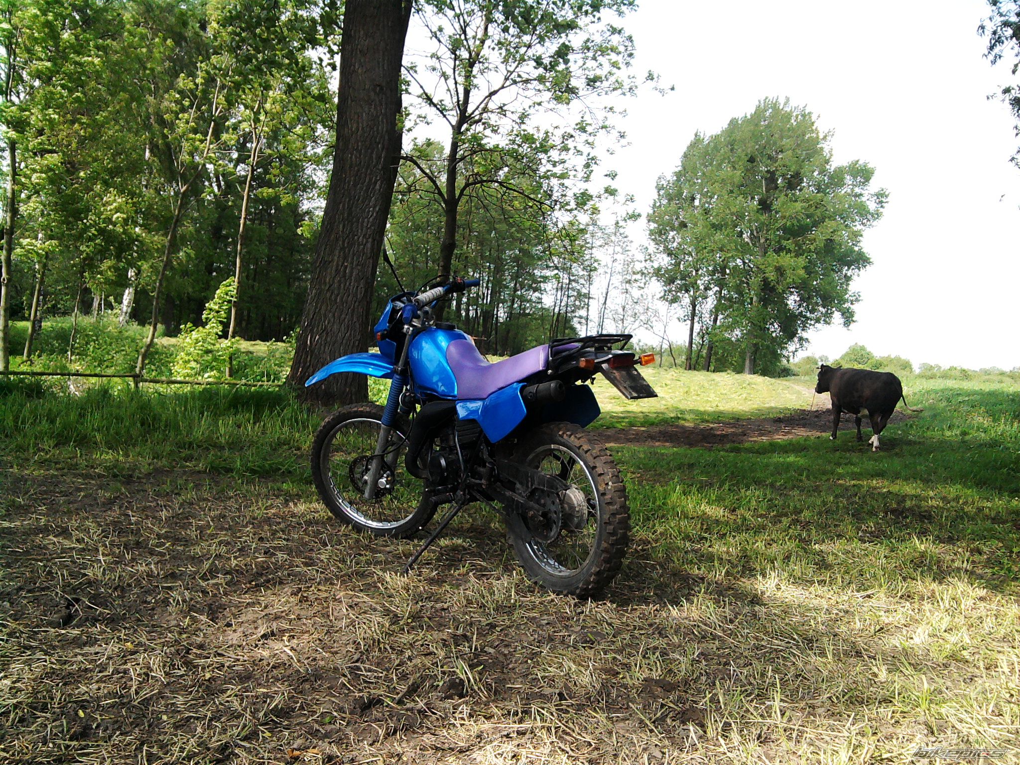 Photo 1981332