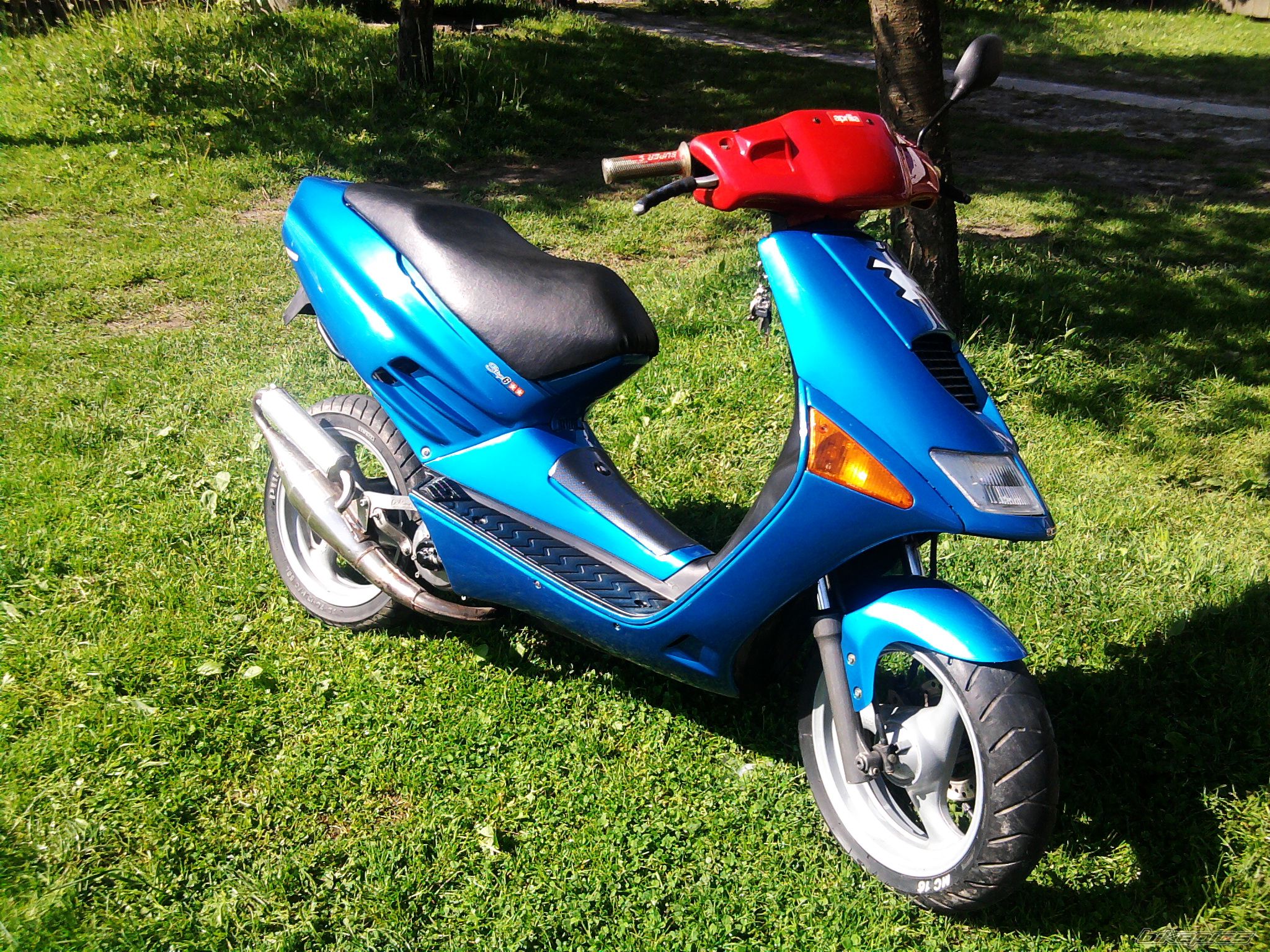 Photo 1981334