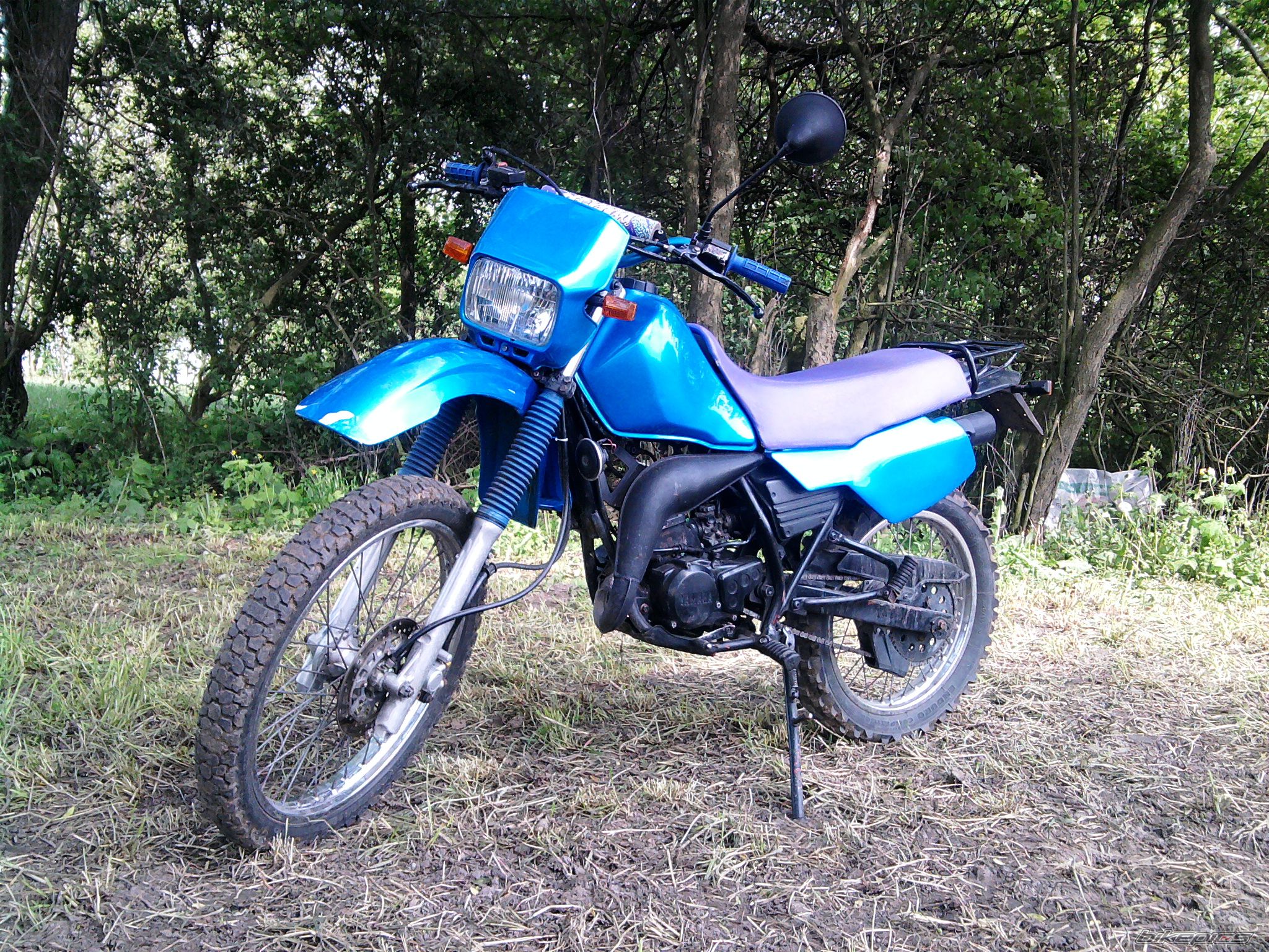 Photo 1981335