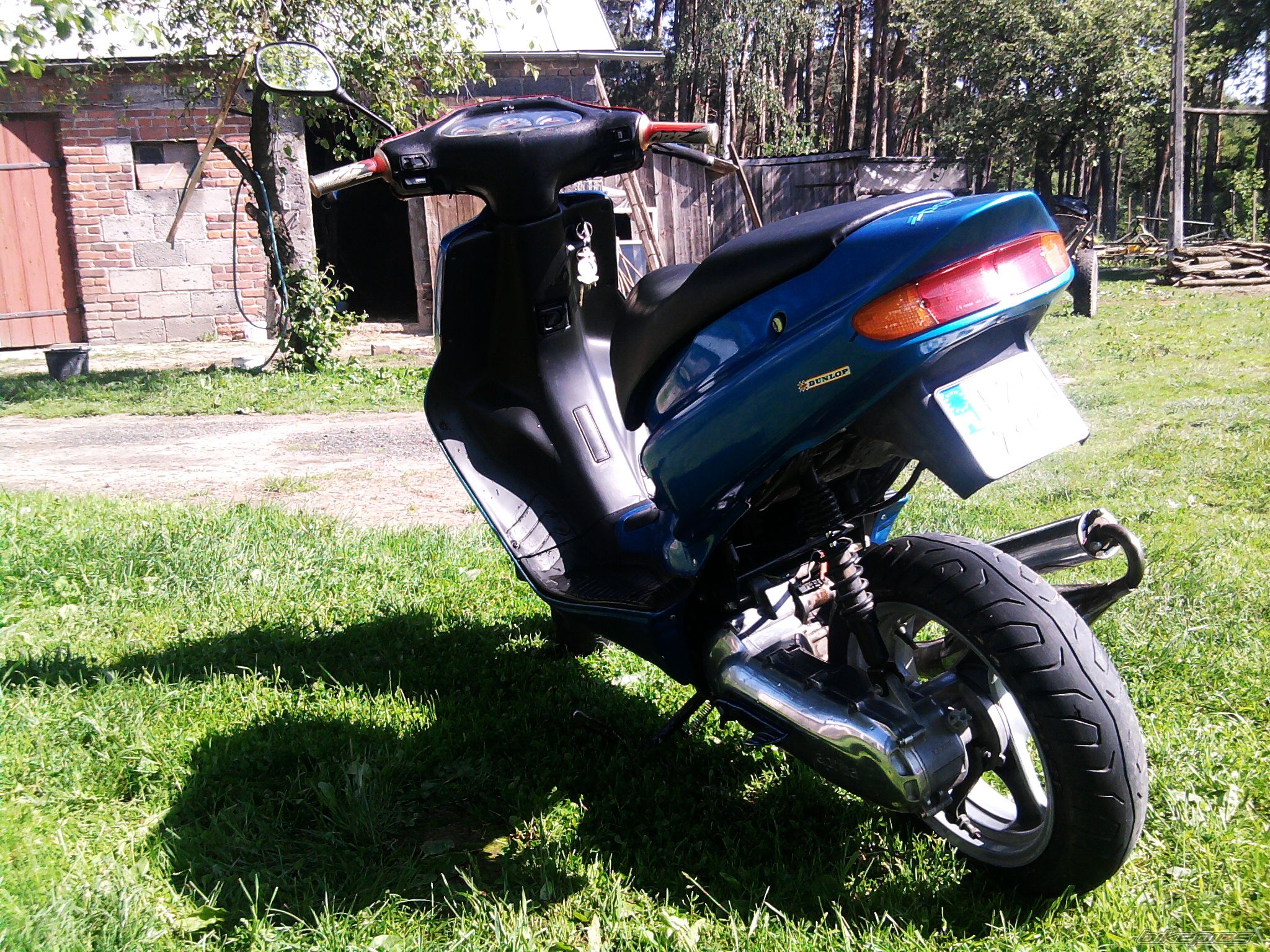 Photo 1981337