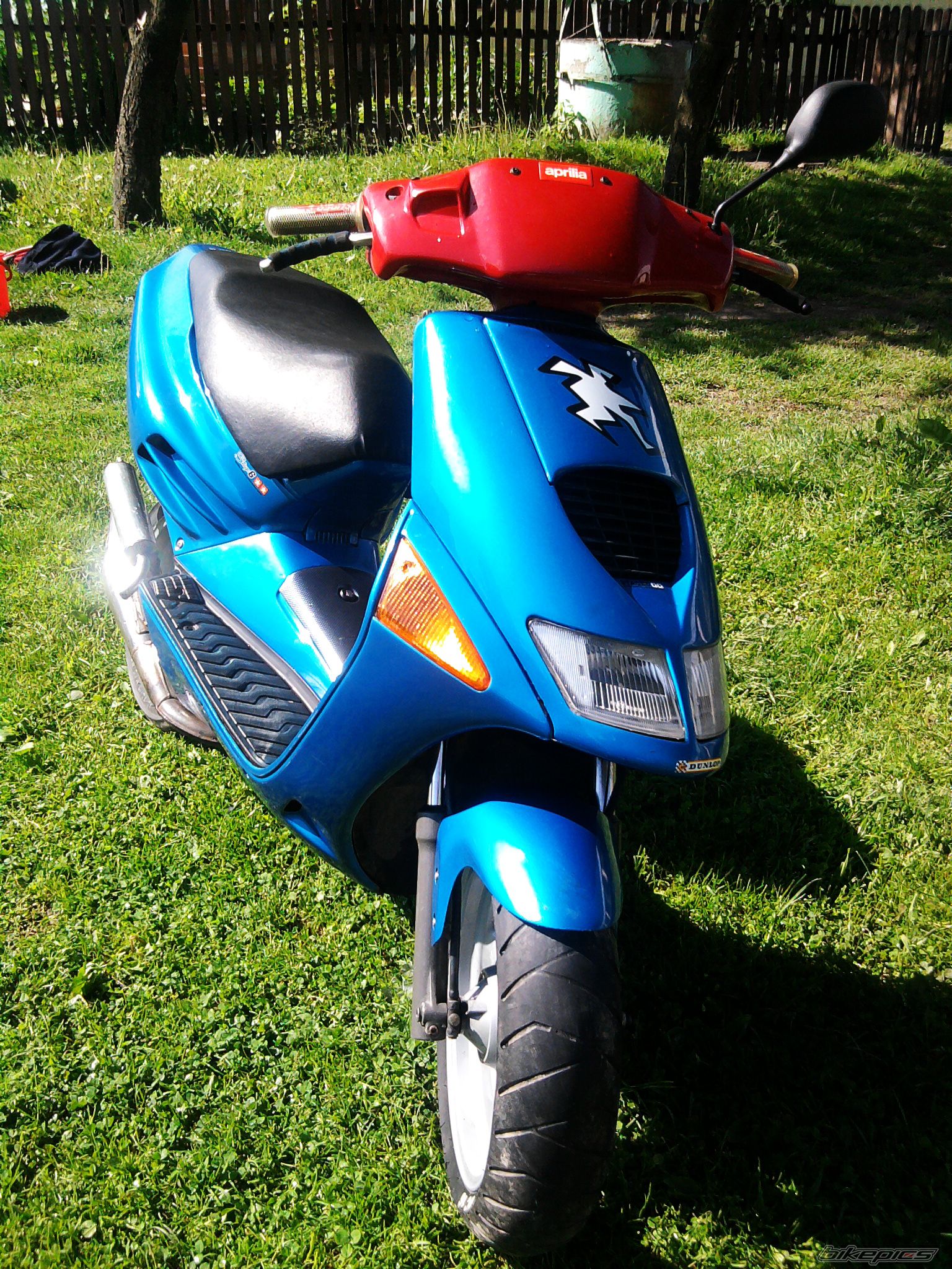 Photo 1981338