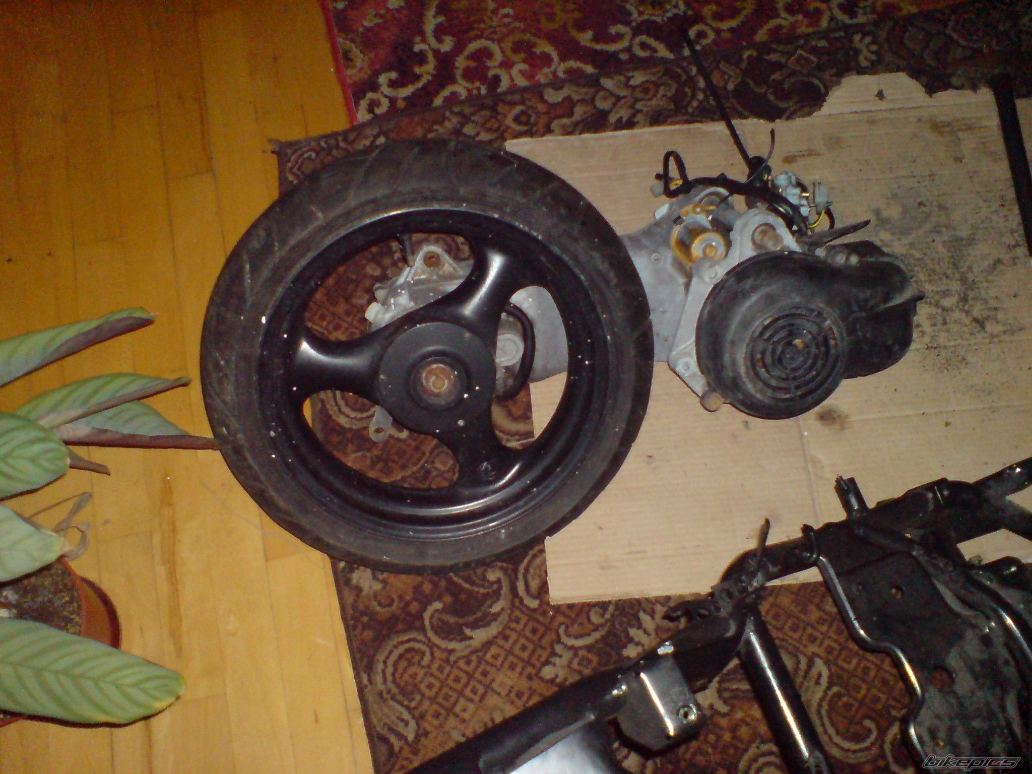 Photo 1981359