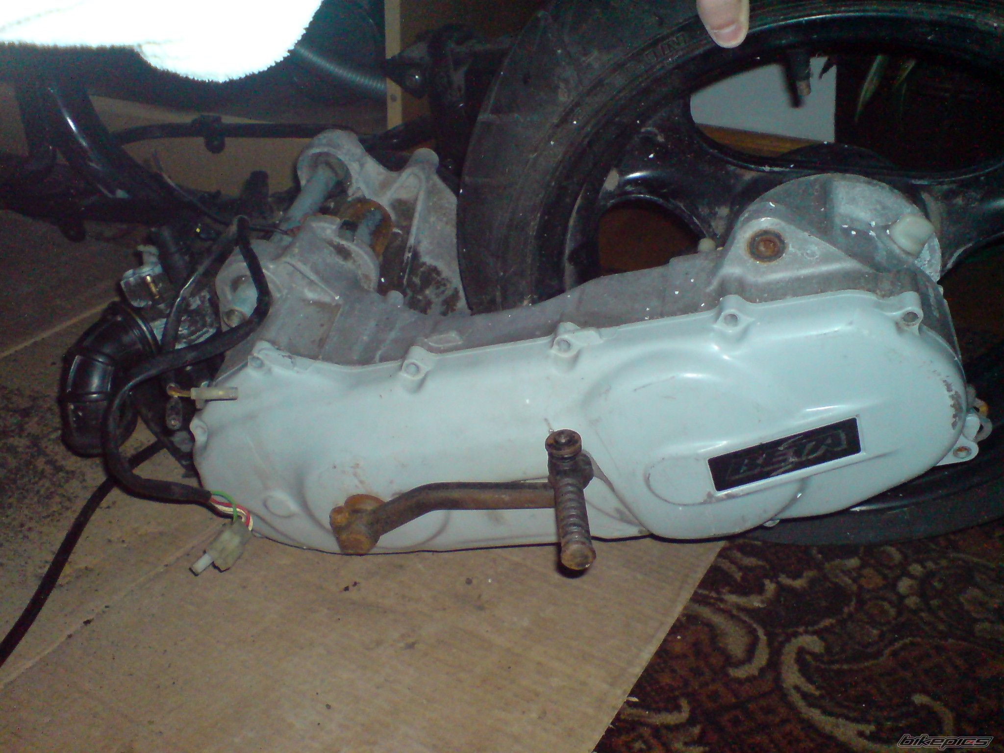 Photo 1981361