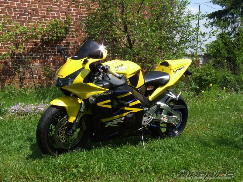 Photo 1981397