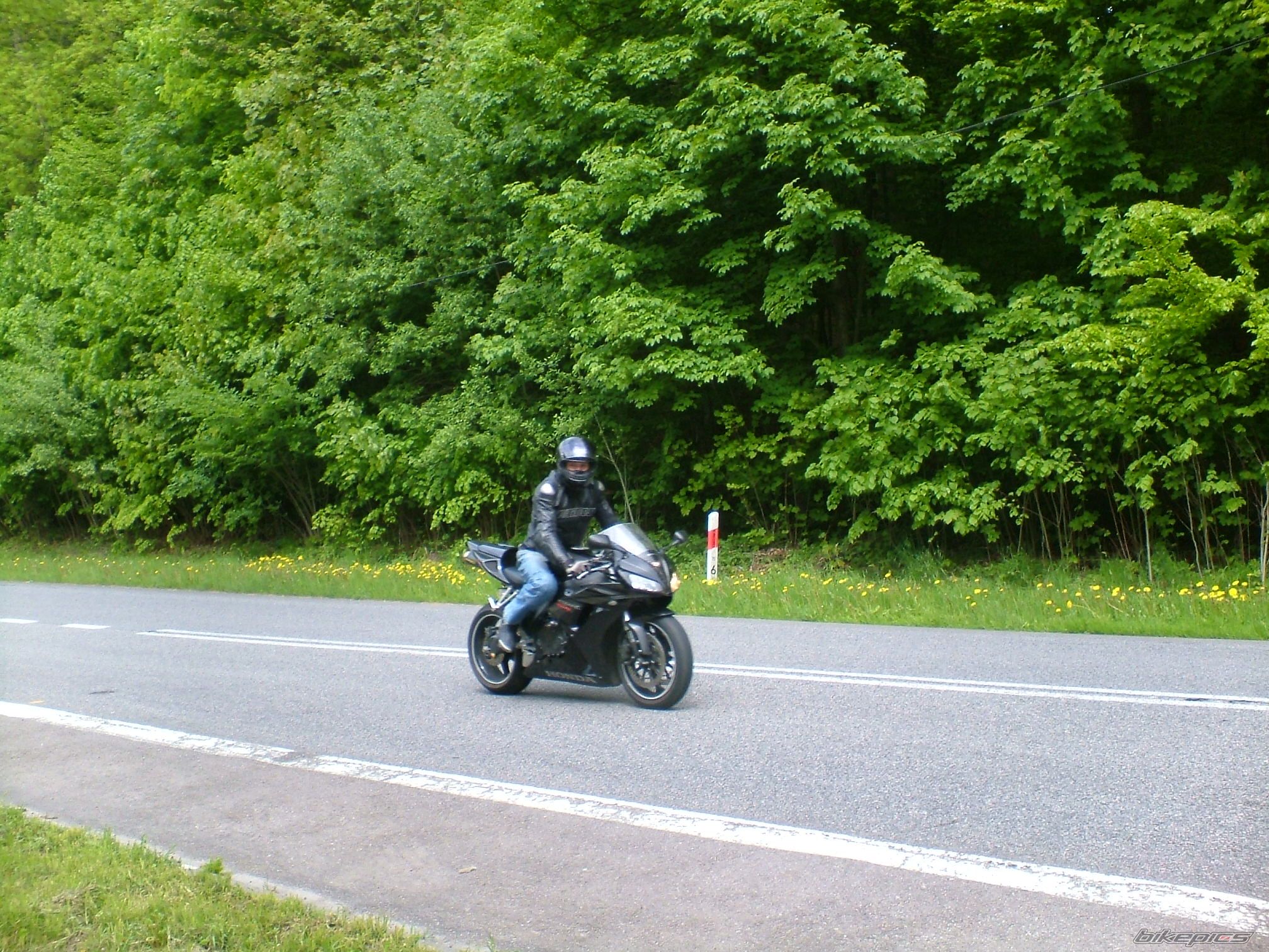 Bike Photo 1981418